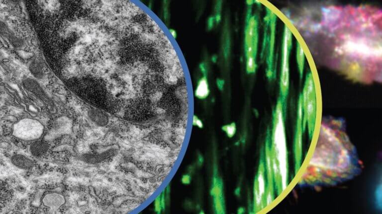 2022-ADI-Header-Image
