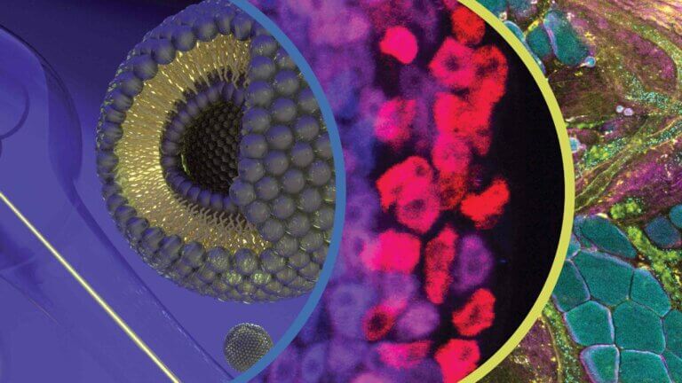 Composite image of science imagery from the 2023 Allen Distinguished Investigators