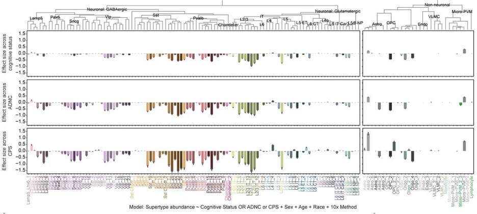 Research figure showing cell types affected by Alzheimer's disease