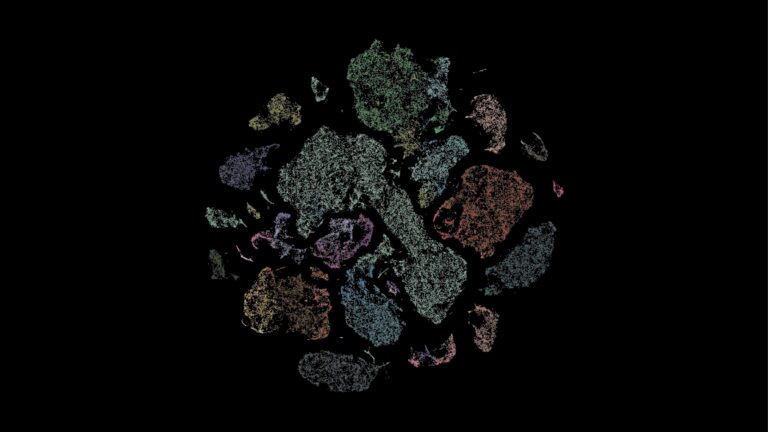 Human brain cell type diversity in the primary motor cortex, the region of the brain that controls movement. These data were generated using a technique known as single-cell transcriptomics to capture the full suite of genes switched on in each brain cell.