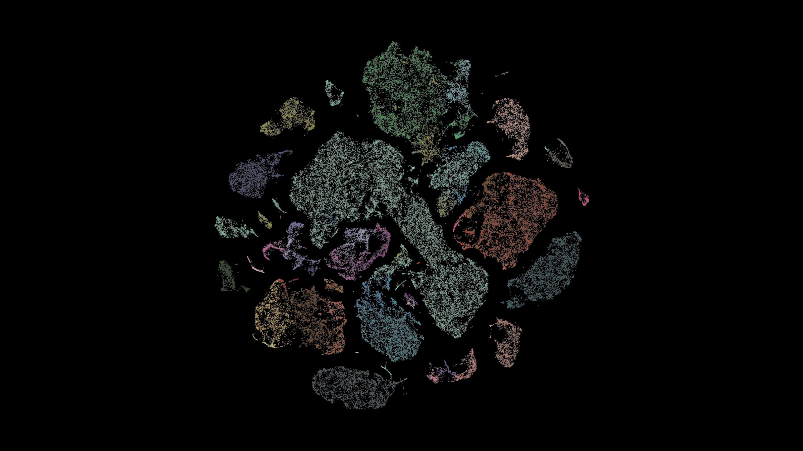 http://Human%20brain%20cell%20type%20diversity%20in%20the%20primary%20motor%20cortex,%20the%20region%20of%20the%20brain%20that%20controls%20movement.%20These%20data%20were%20generated%20using%20a%20technique%20known%20as%20single-cell%20transcriptomics%20to%20capture%20the%20full%20suite%20of%20genes%20switched%20on%20in%20each%20brain%20cell.