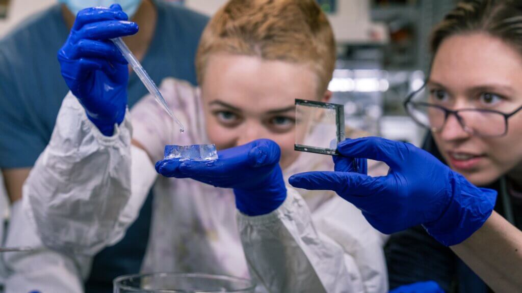 Researchers eagerly gather around gelatin substance involved with tissue expansion.