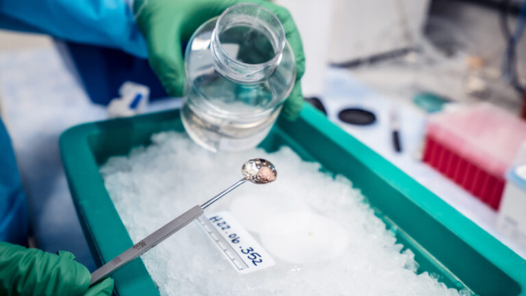 A researcher at the Allen Institute for Brain Science prepares a piece of live human brain tissue. Photo by Erik Dinnel / Allen Institute