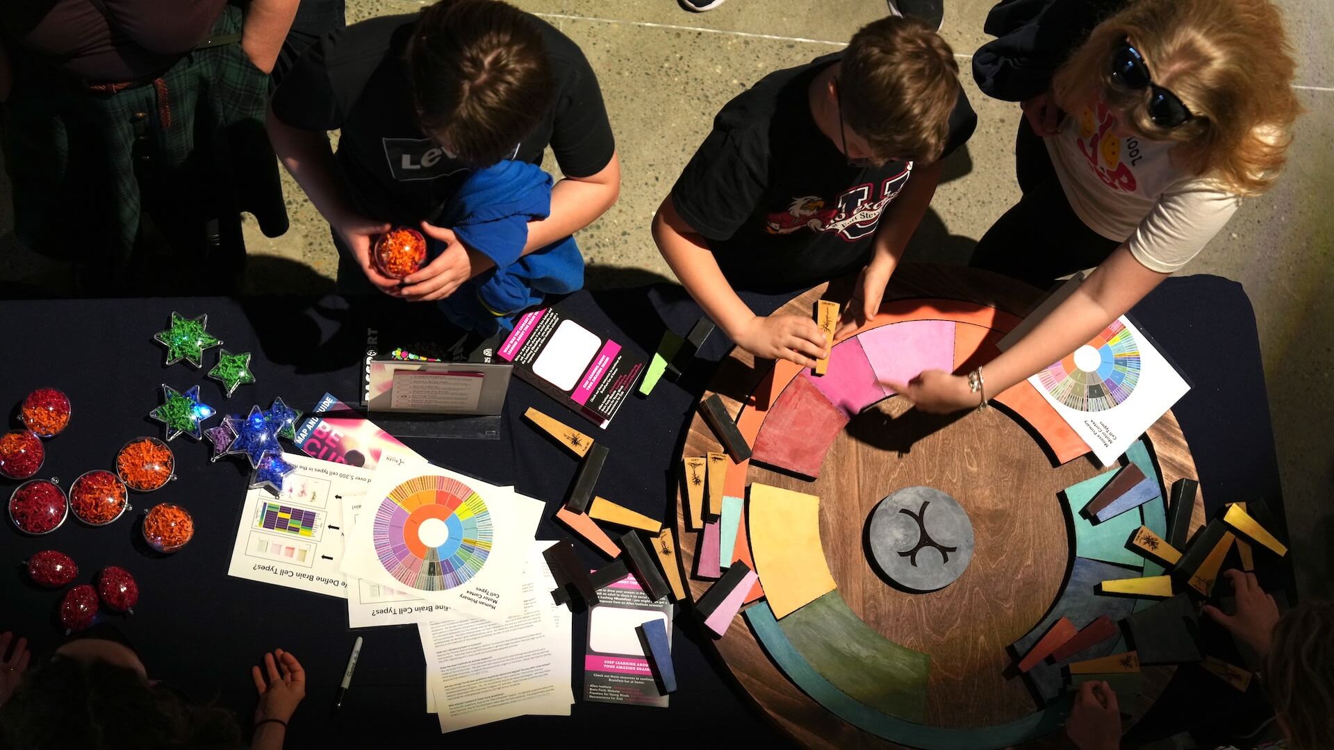 Attendees completing a custom puzzle while learning about cell types characterization