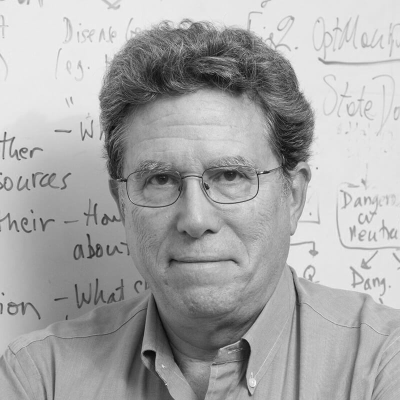 David Anderson Headshot