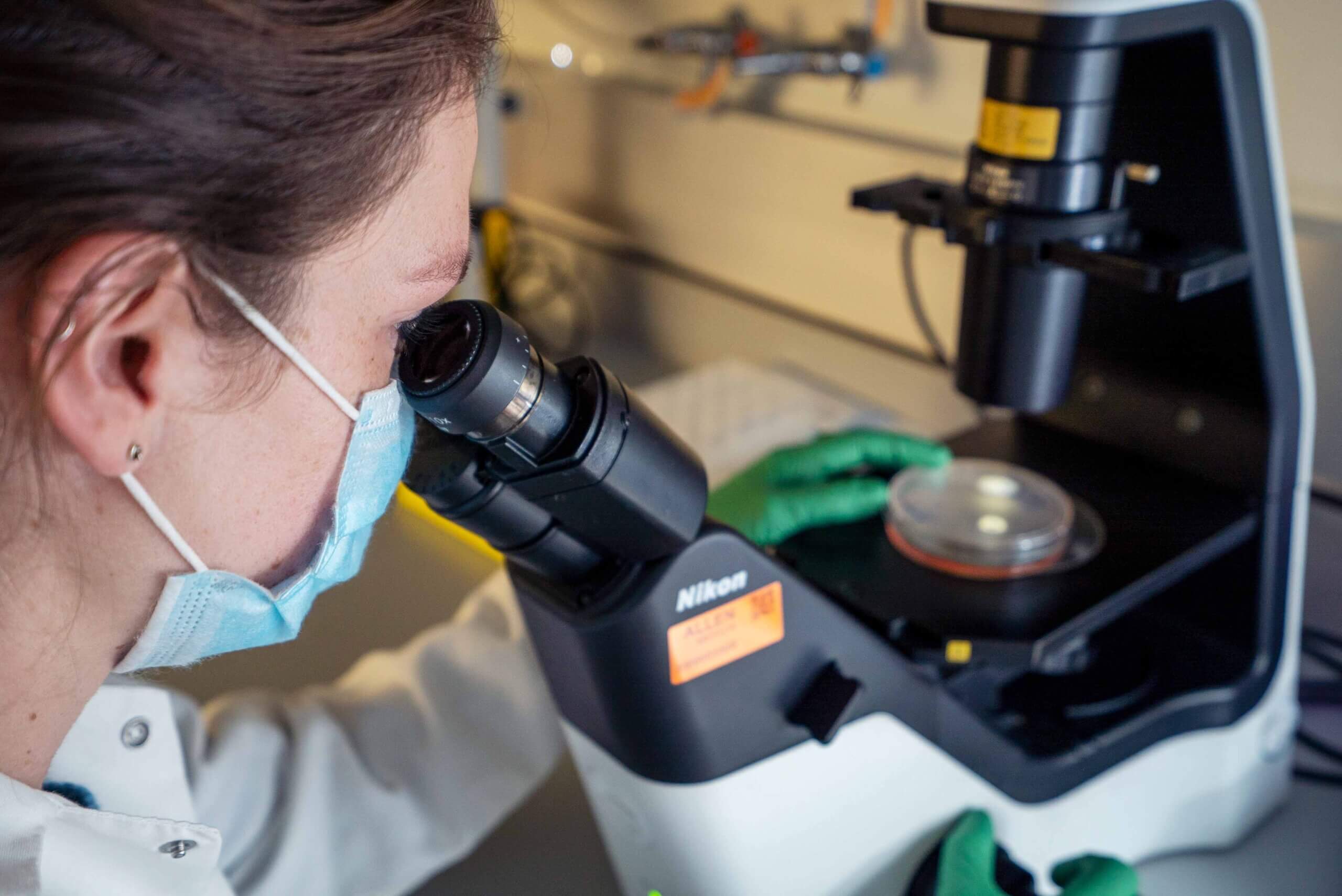 http://Research%20associate%20looking%20at%20a%20dish%20of%20cells%20through%20a%20microscope