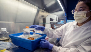 Researcher at Allen Institute