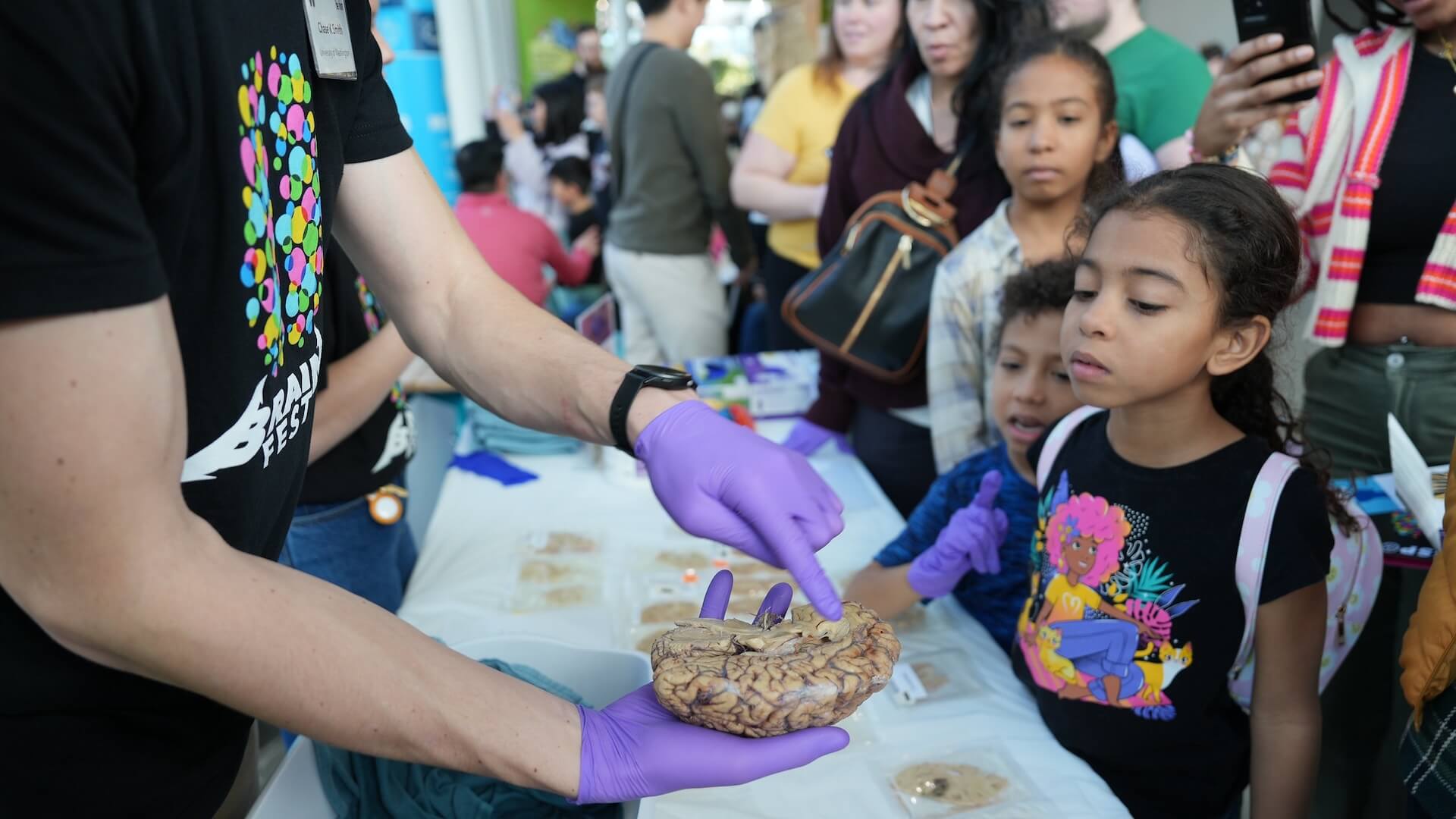 child looking at slice of human brain