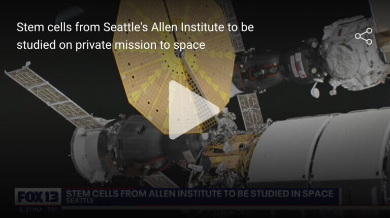 Screen grab from FOX13