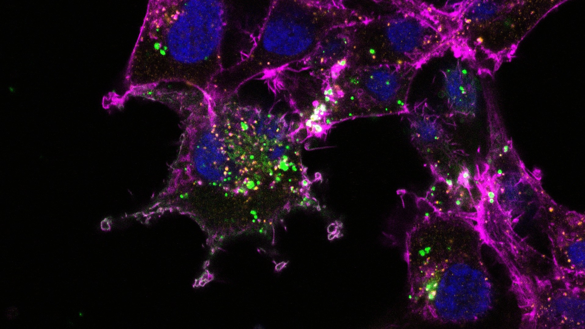 http://Science%20Image%20with%20colorful%20dyes