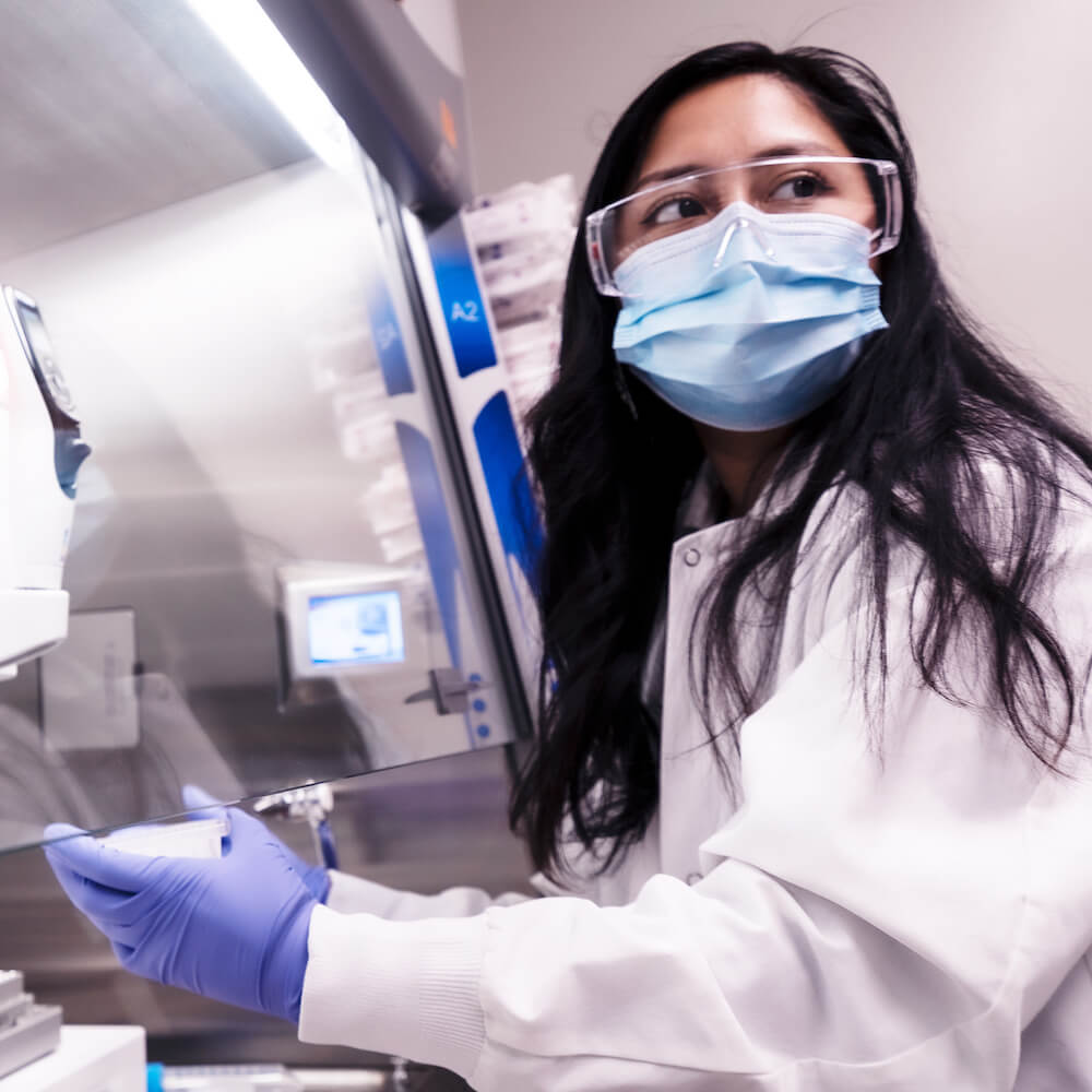 Researcher working in the lab at the Allen Institute for Immunology