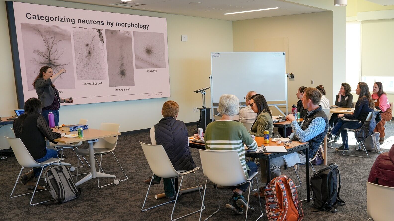 Teachers learning in a classroom setting