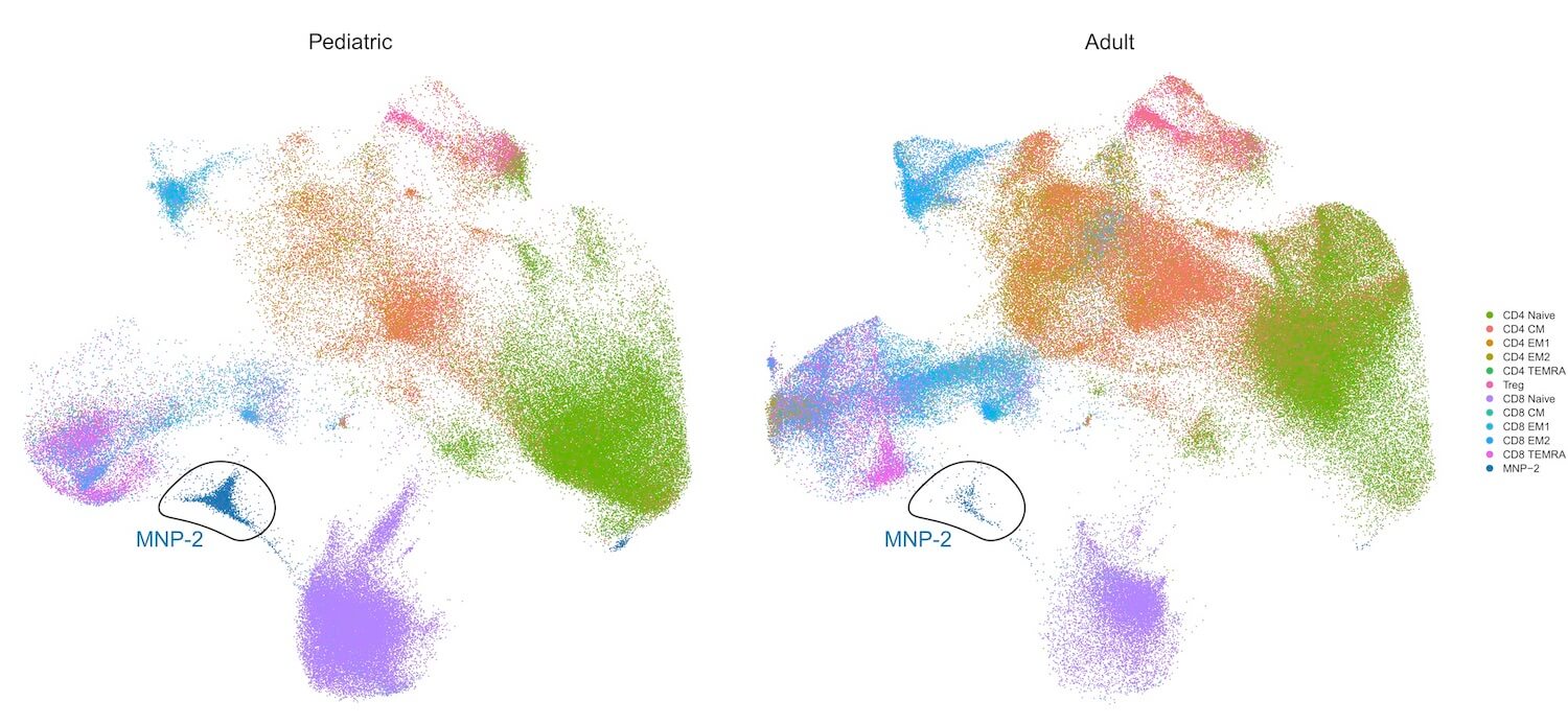 mnp2_global_umap_updated