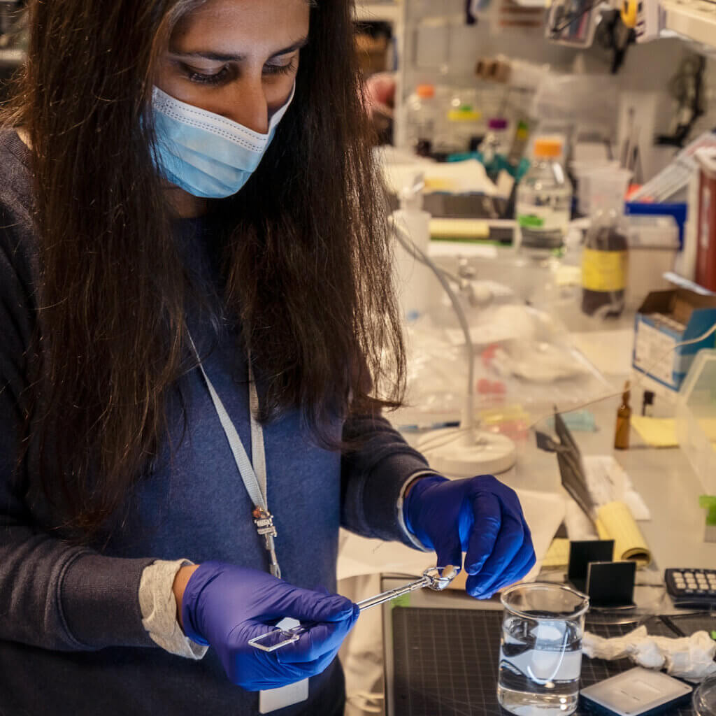 Neural Dynamics scientists in the lab working to expand brain tissue