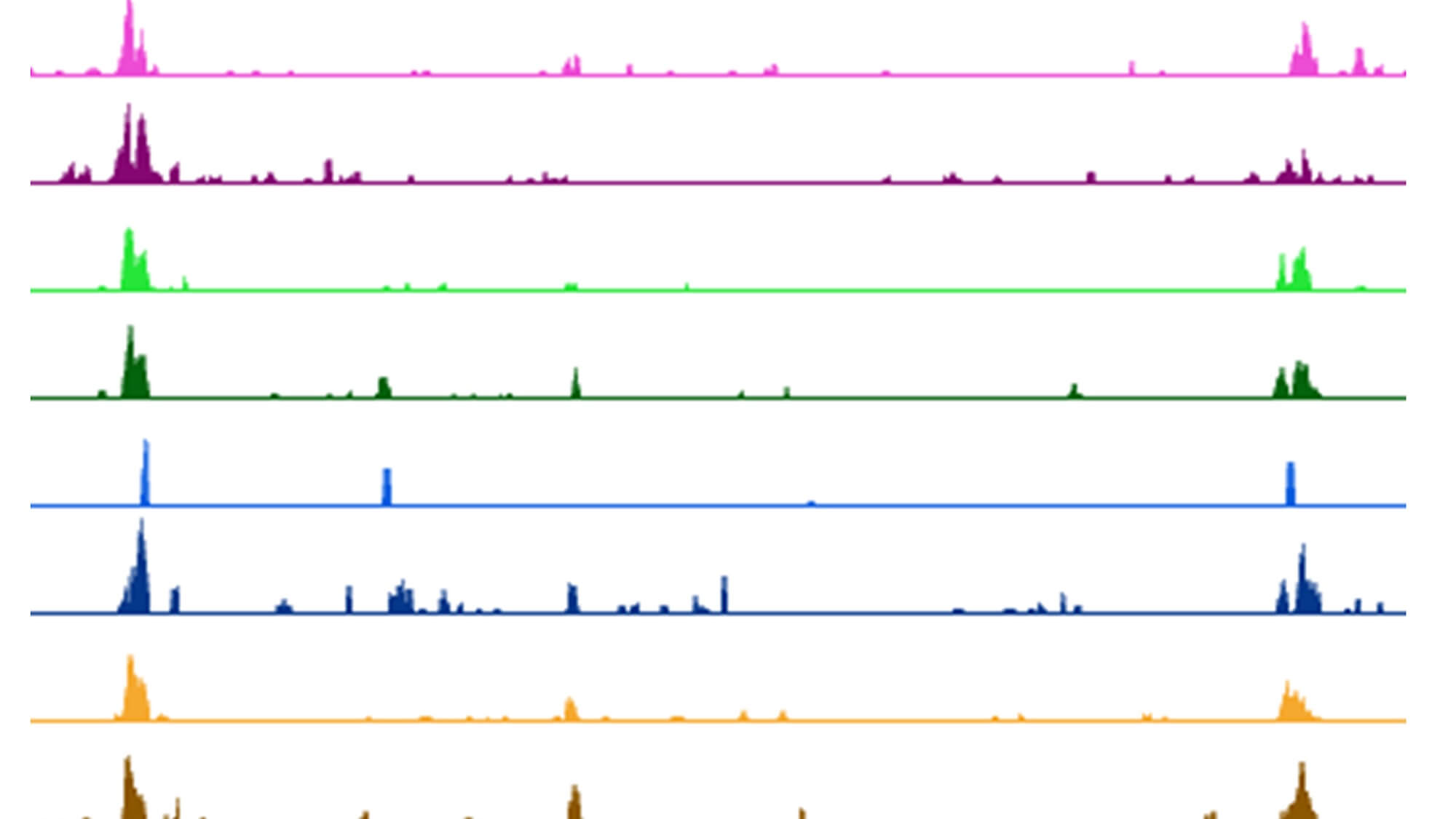 http://Epigenetics%20figure%20from%20ADI%20Novakovic