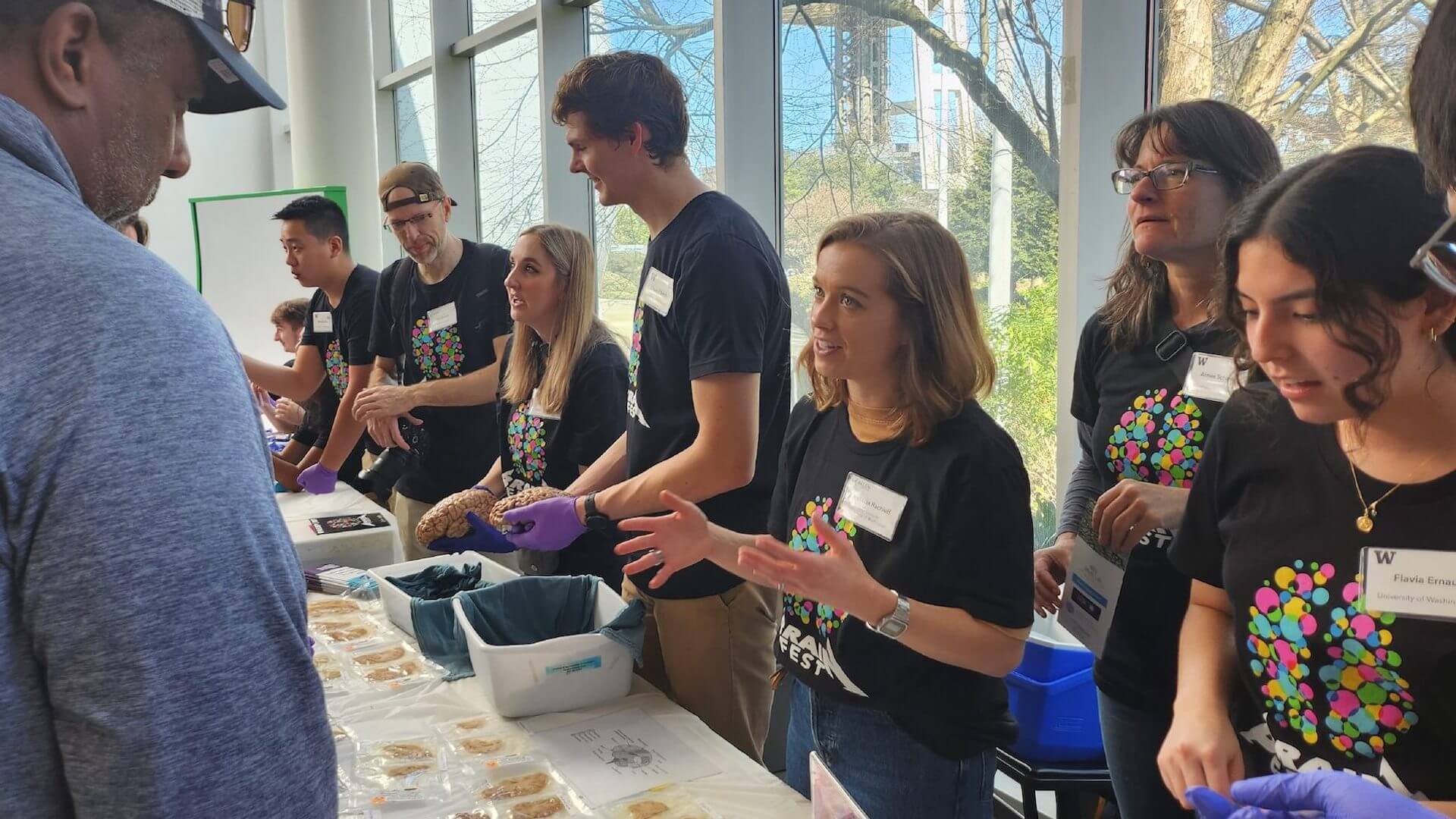 University of Washington researchers share human brain samples with visitors.
