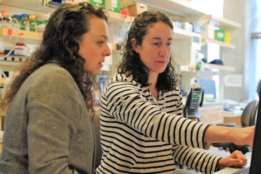 Two scientists at work