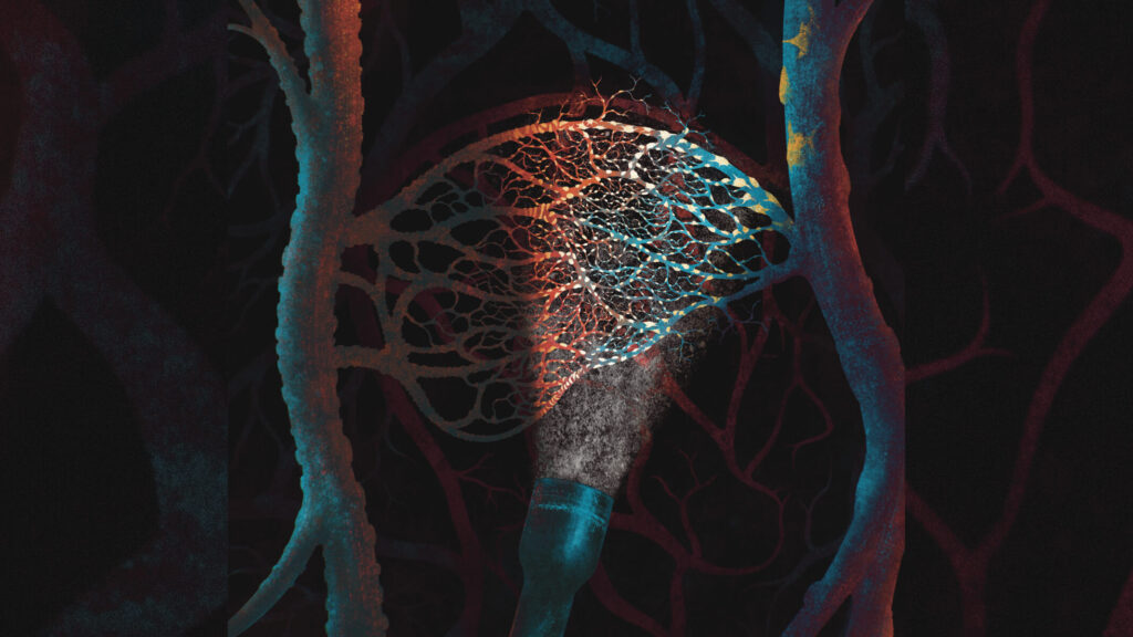 A new technique developed by AHA-Allen Initiative-funded researchers at the Stanford University School of Medicine is shining light on the blood vessels that supply the brain. Illustration by Valentina Galata.
