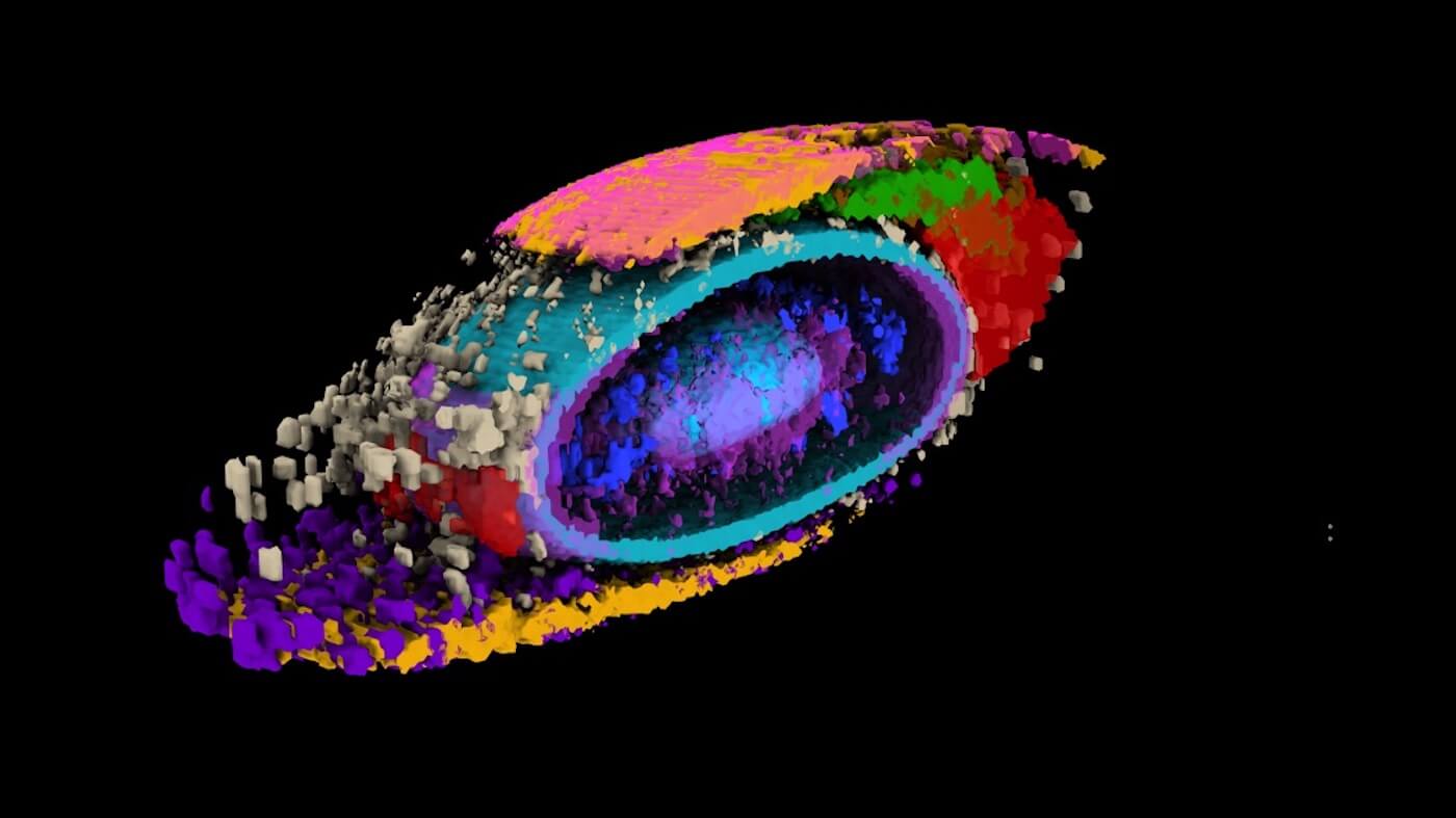 Image showing human cell variance