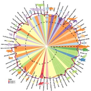 Circle graph illustrating various mammalian species maximum lifespans