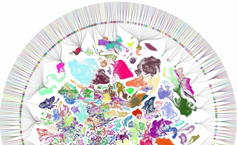 Plotted visualization of mouse brain cell types
