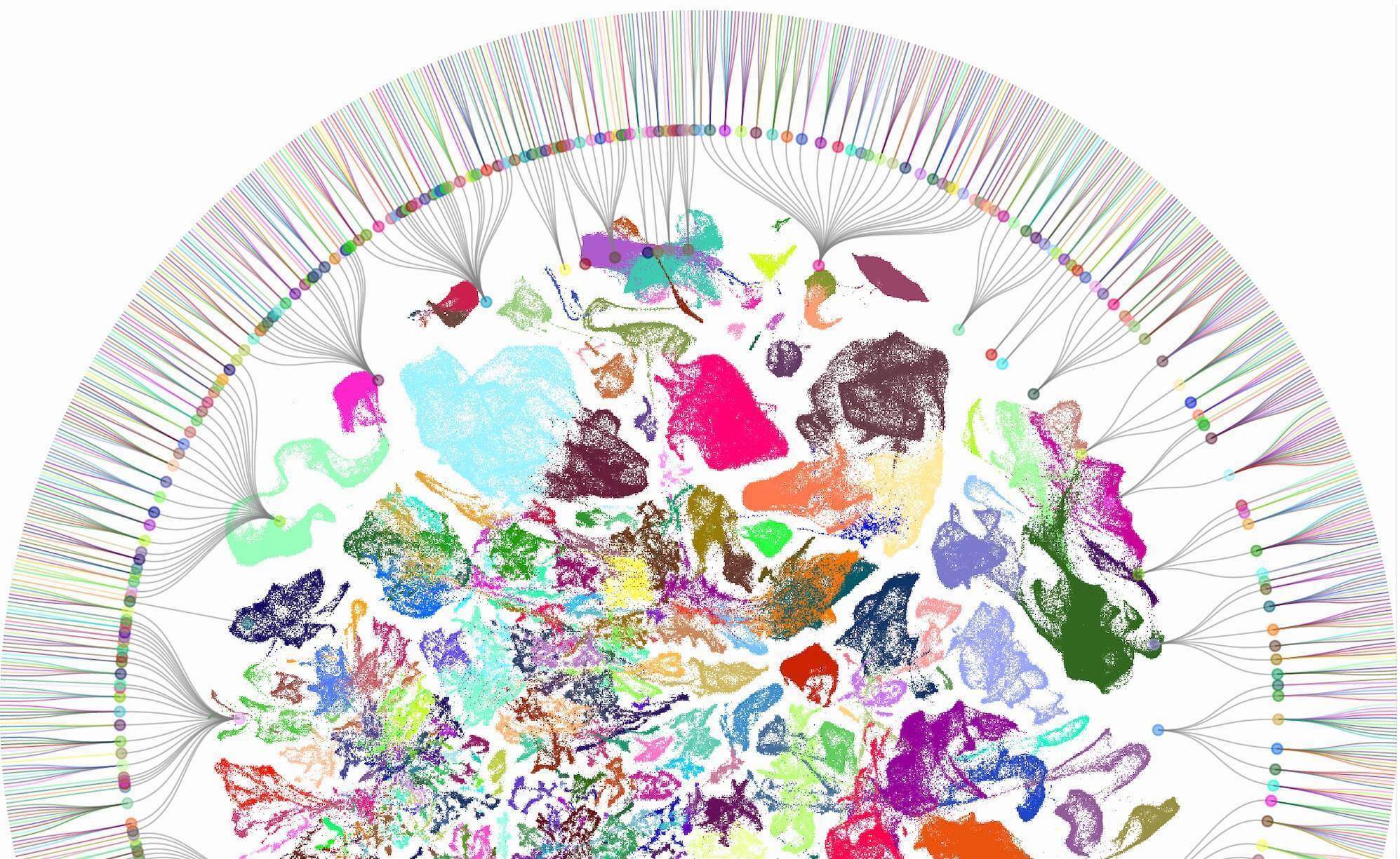 Plotted visualization of mouse brain cell types