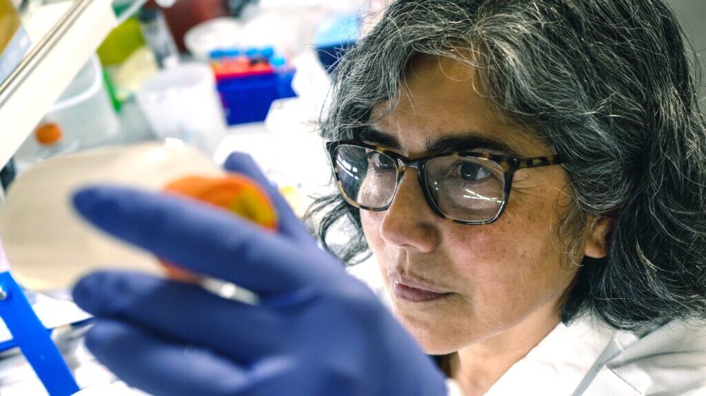 Lab image of a researcher holding up research equipment and examining it