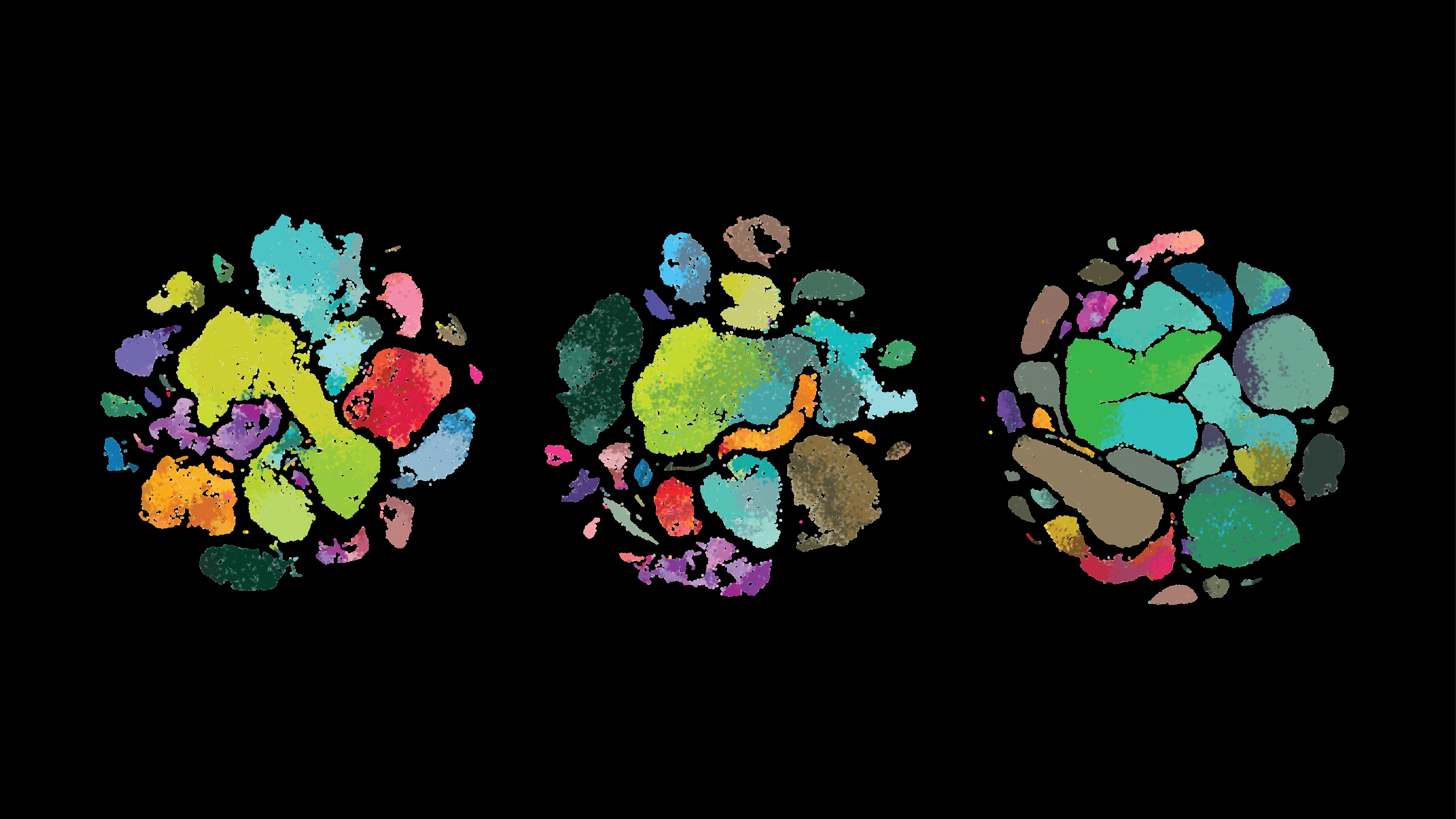 http://A%20new%20study%20from%20the%20Allen%20Institute%20compares%20human%20brain%20cells’%20molecular%20features%20to%20those%20of%20the%20marmoset%20monkey%20and%20mouse%20in%20a%20region%20of%20the%20brain%20that%20controls%20movement,%20the%20primary%20motor%20cortex.%20Using%20a%20technique%20known%20as%20single-cell%20transcriptomics,%20the%20researchers%20compared%20the%20suite%20of%20genes%20each%20individual%20brain%20cell%20switches%20on,%20across%20thousands%20of%20cells%20from%20each%20of%20the%20three%20species.%20Shown%20here,%20transcriptomic%20data%20clustered%20by%20type%20of%20brain%20cell,%20in%20the%20human%20(left),%20marmoset%20monkey%20(middle),%20and%20mouse%20brain%20(right)