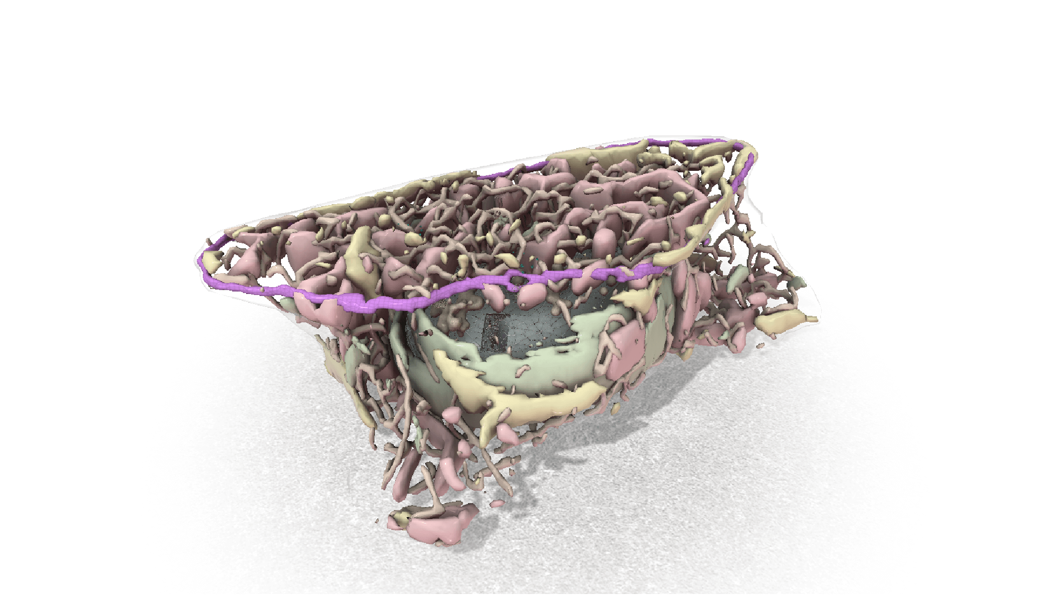 The Visual Guide to Human Cells lets users rotate, zoom in and out, and highlight different structures inside a 3D model of a human stem cell.
