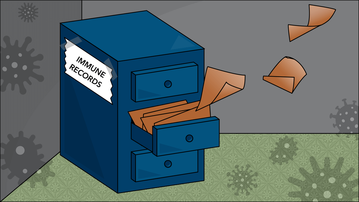 http://Image%20of%20files%20flying%20out%20of%20file%20cabinet,%20titled%20immune%20records