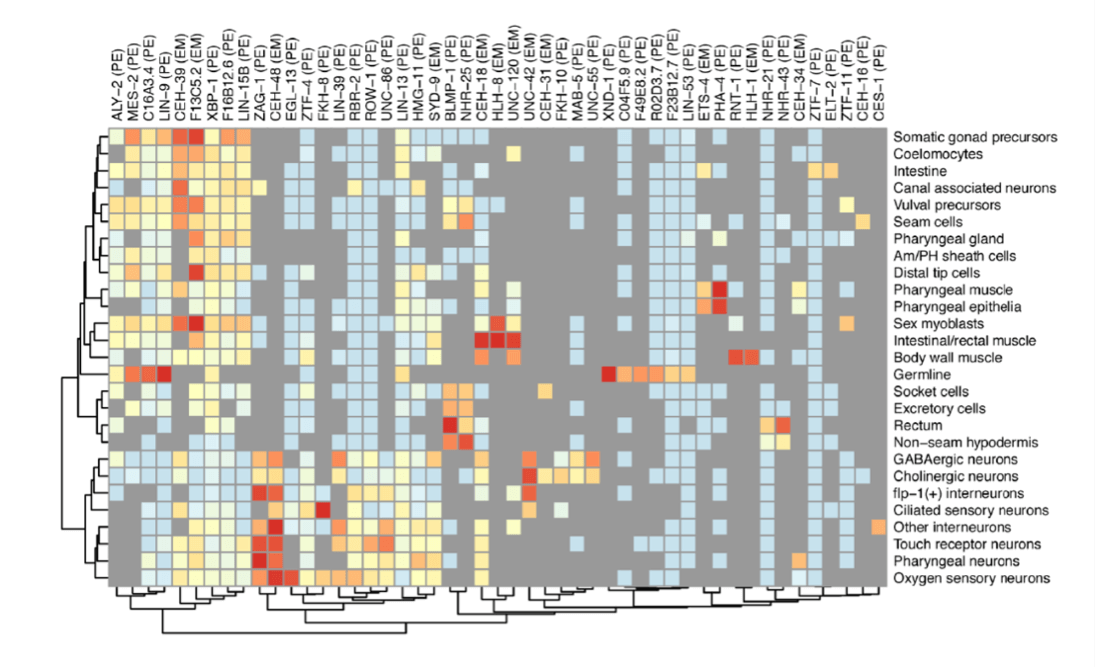 A greay and orange pixelated graph
